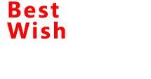 復(fù)合調(diào)味料加工